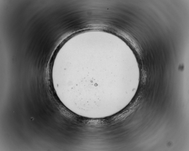 X0000103400883200810241008