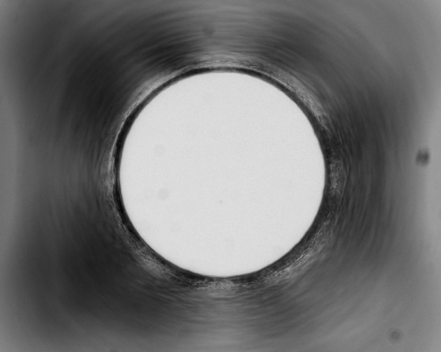 X0000103400885200810241008