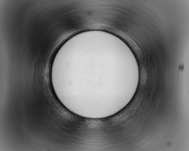 X0000103400886200810241008