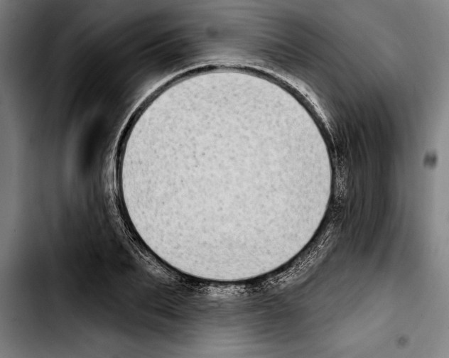 X0000103400887200810241008