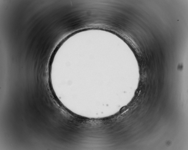 X0000103400888200810241008