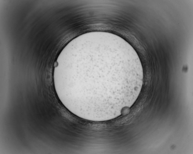 X0000103400889200810241008