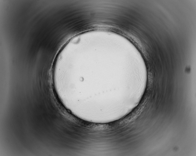 X0000103400891200810241008