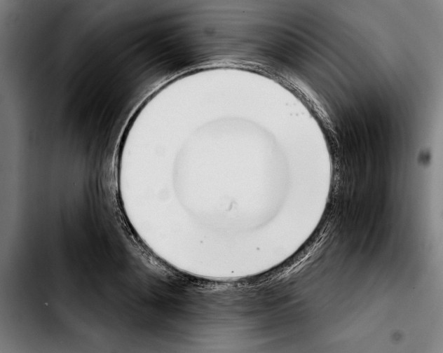 X0000103400892200810241008