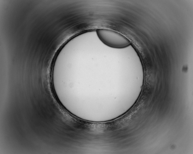 X0000103400893200810241008