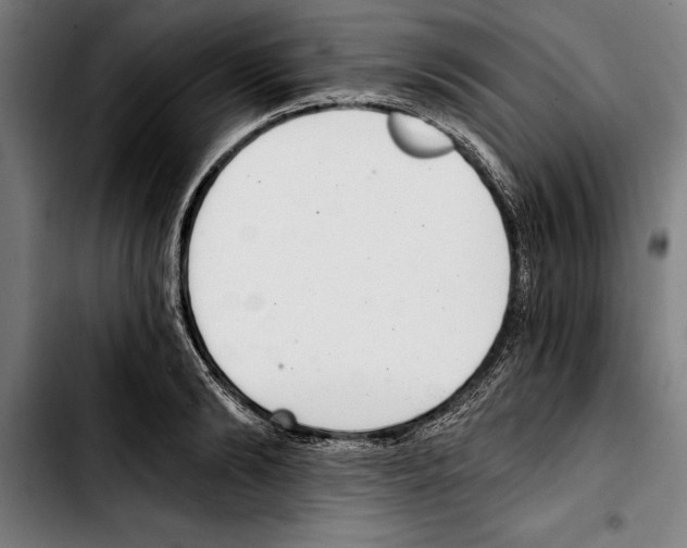 X0000103400894200810241008