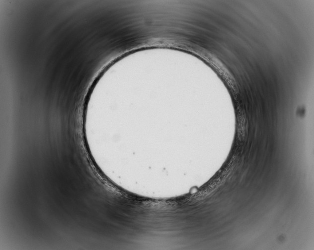 X0000103400896200810241008