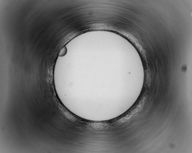 X0000103400897200810241008