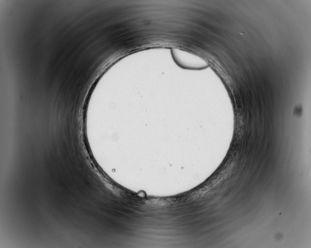 X0000103400898200810241008