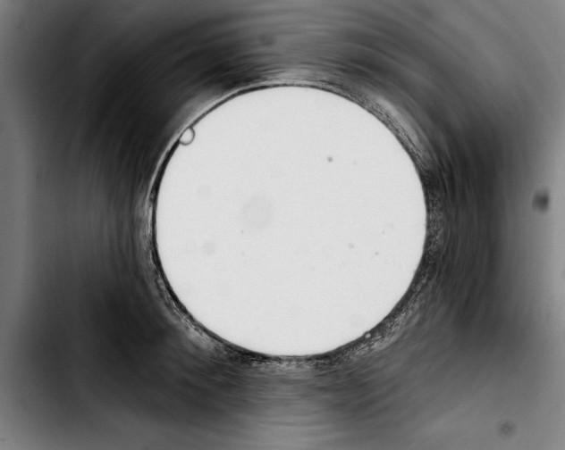 X0000103400900200810241008