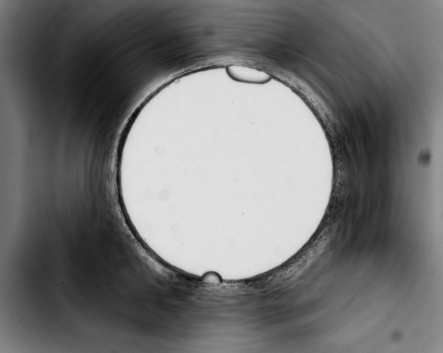 X0000103400902200810241008