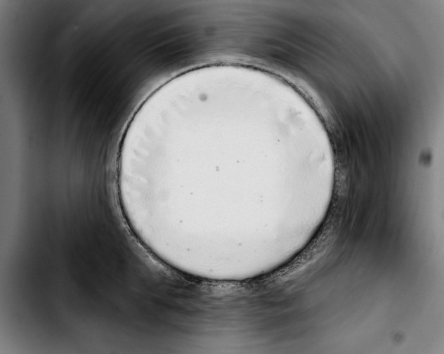 X0000103400903200810241008