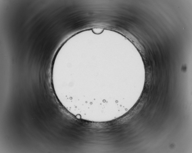 X0000103400904200810241008