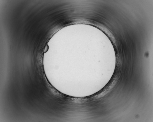 X0000103400905200810241008