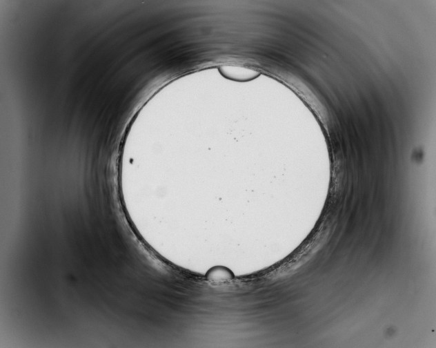 X0000103400906200810241008