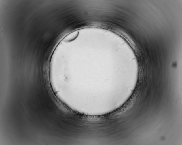 X0000103400907200810241008