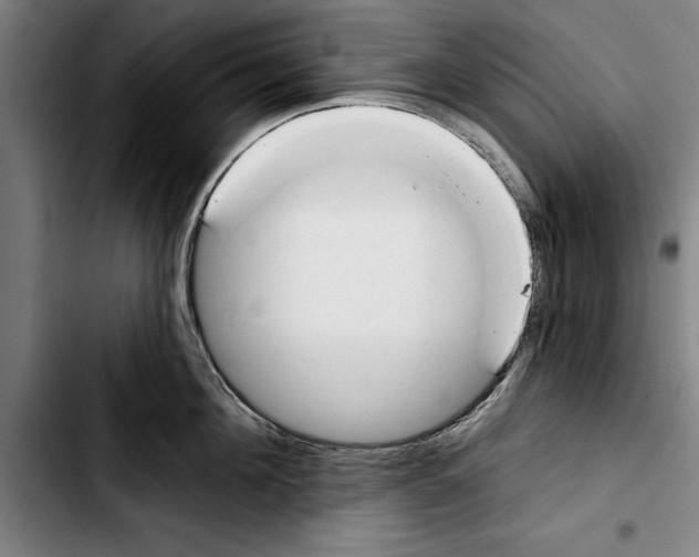 X0000103400908200810241008