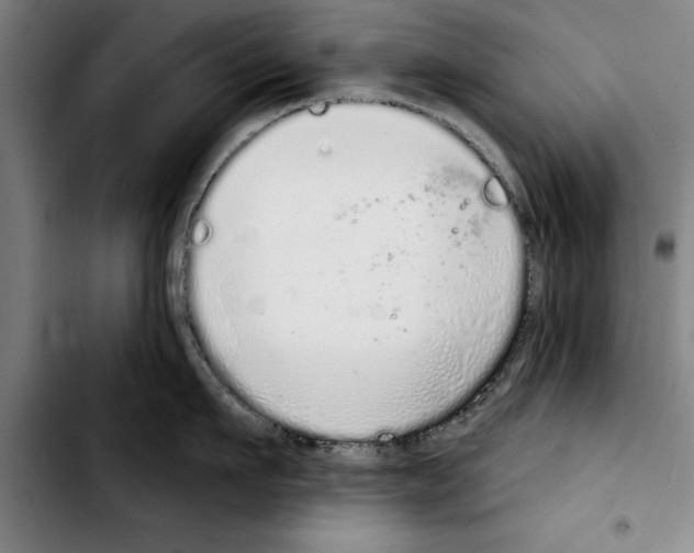 X0000103400911200810241008