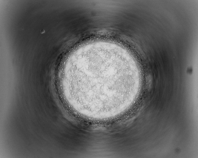 X0000103400913200810241007