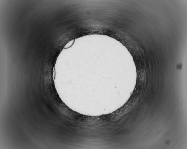 X0000103400916200810241007