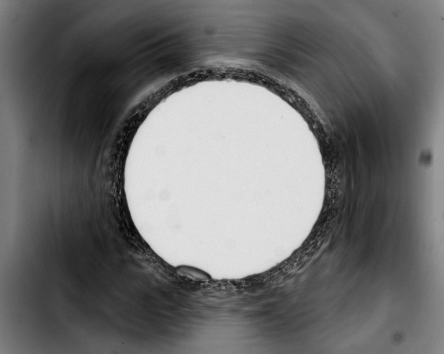 X0000103400919200810241007