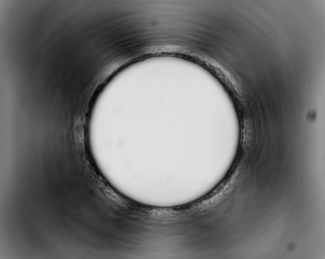 X0000103400921200810241007