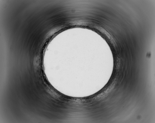 X0000103400922200810241007