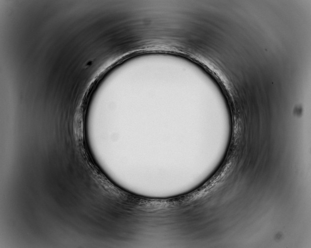 X0000103400925200810241007