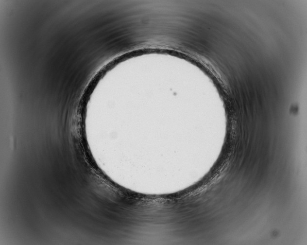 X0000103400926200810241007