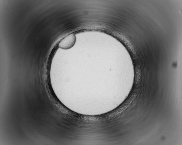 X0000103400928200810241007