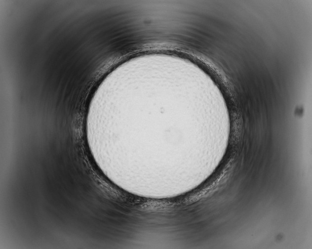 X0000103400929200810241007