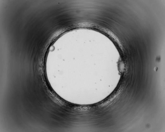 X0000103400930200810241007