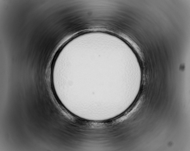 X0000103400933200810241007