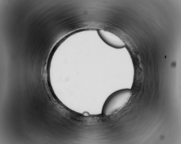 X0000103400936200810241007