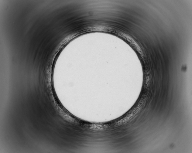 X0000103400938200810241007