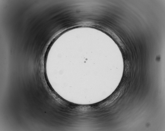 X0000103400939200810241007