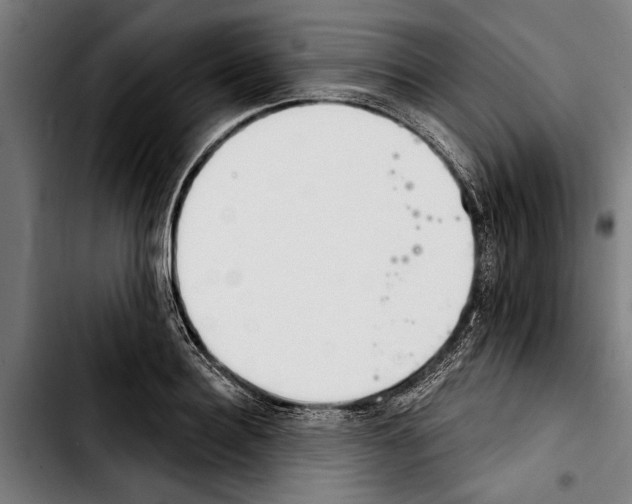 X0000103400940200810241008