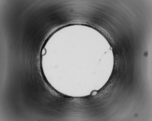 X0000103400942200810241008