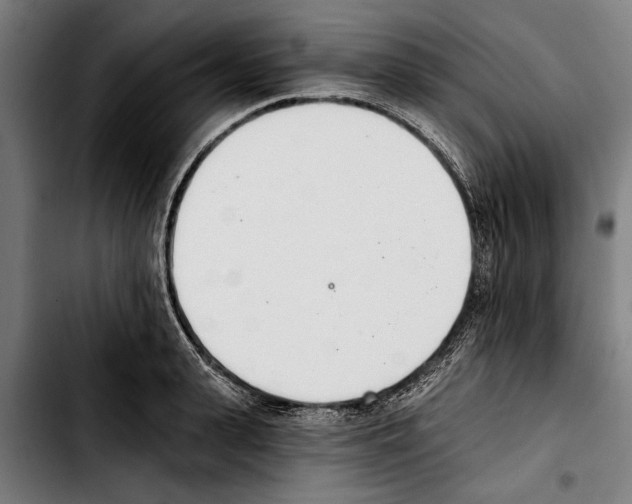 X0000103400943200810241008