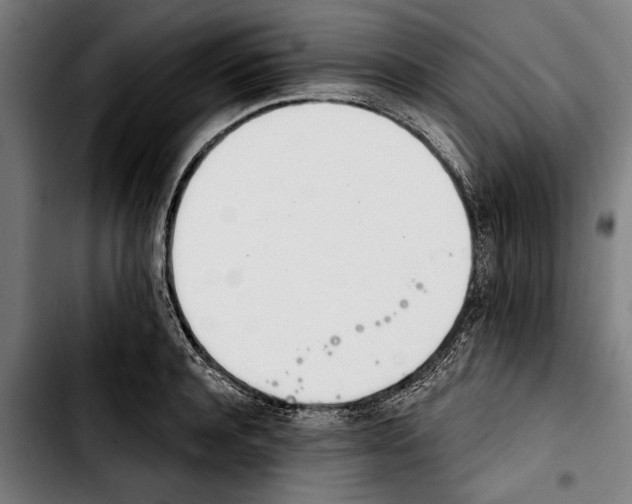 X0000103400944200810241008