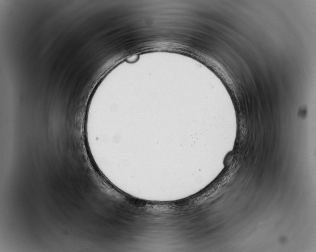 X0000103400946200810241008