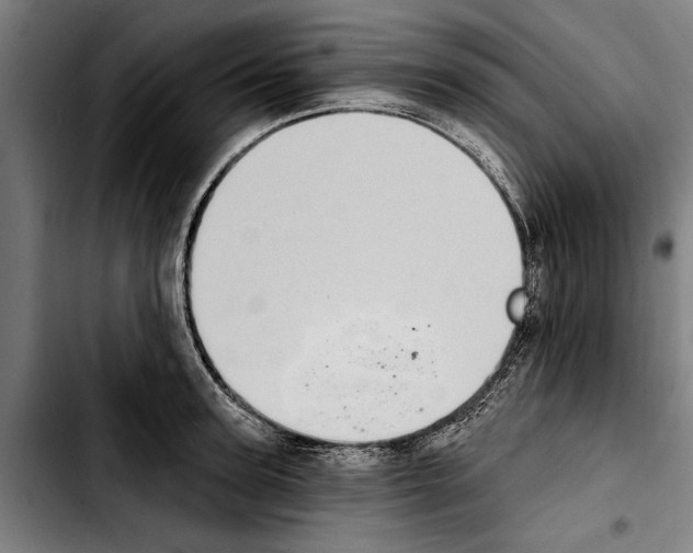 X0000103400947200810241008