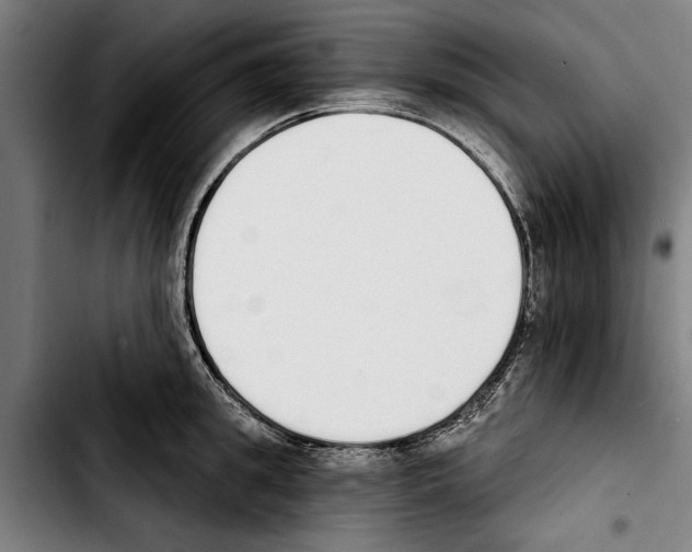 X0000103400949200810241008