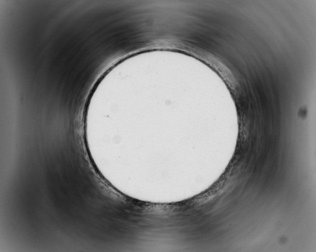 X0000103400950200810241008