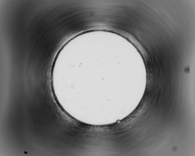 X0000103400951200810241008