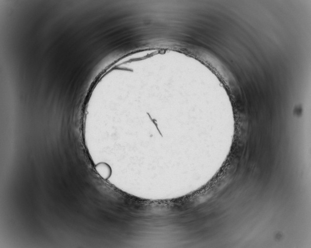 X0000103400952200810241008