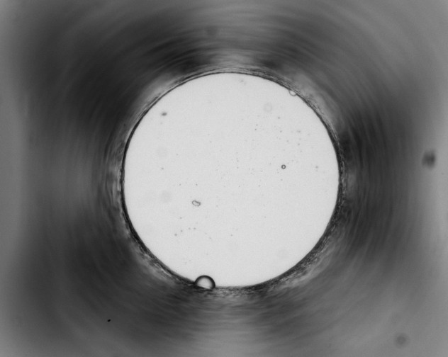 X0000103400954200810241008