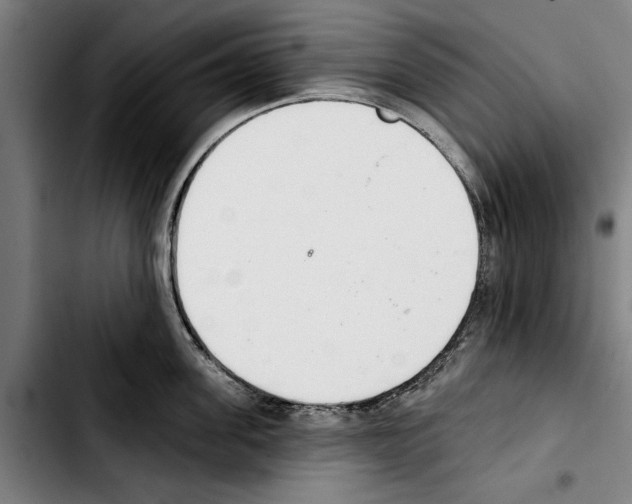 X0000103400955200810241008