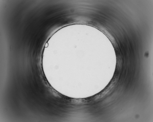 X0000103400956200810241008