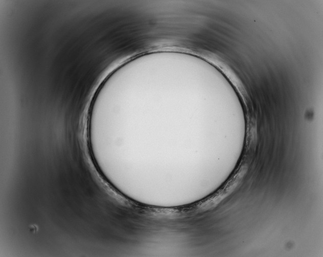 X0000103400957200810241008